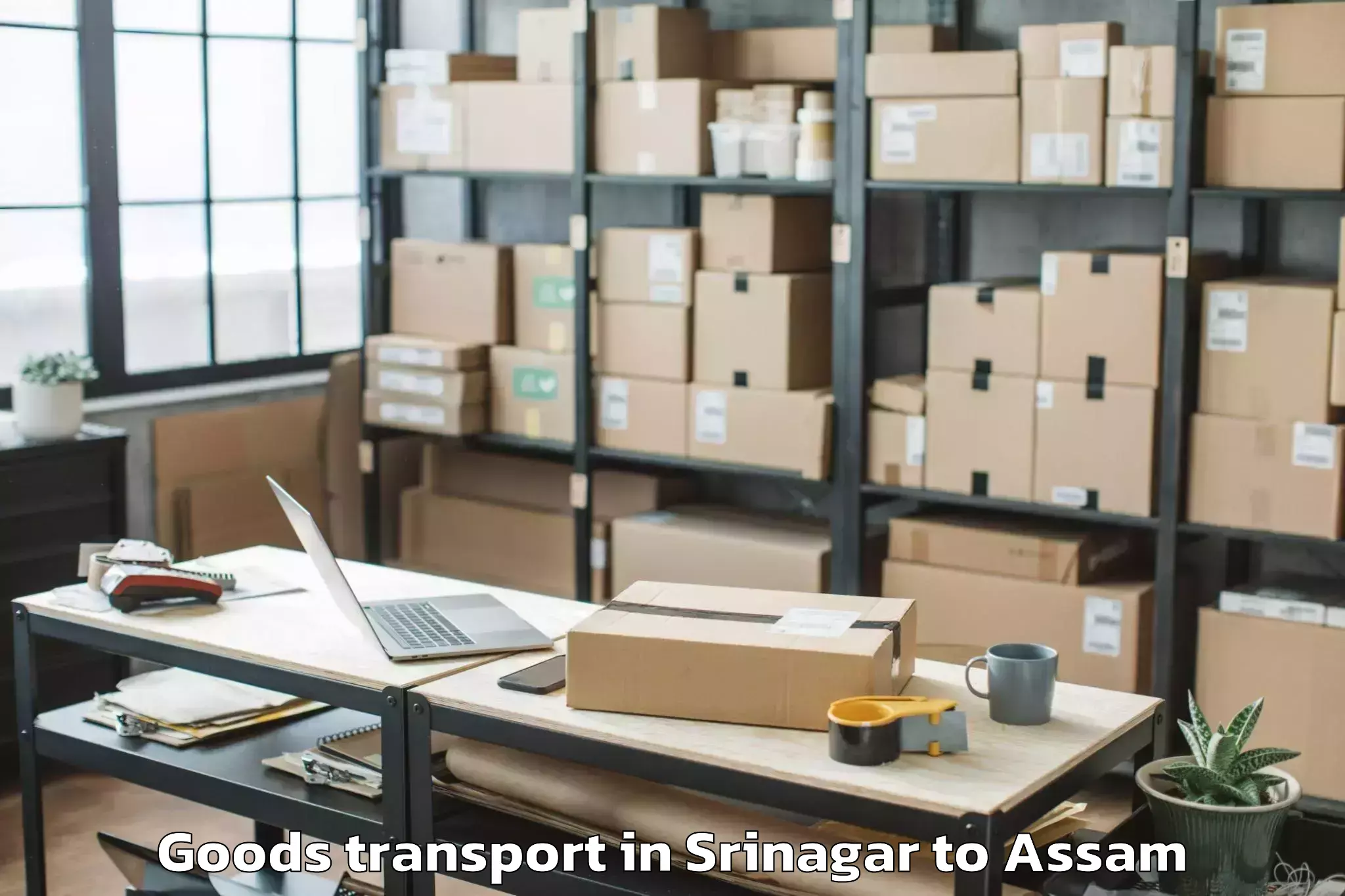 Top Srinagar to Biswanath Chariali Goods Transport Available